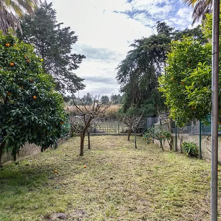 Hidden Garden Near The Castle *