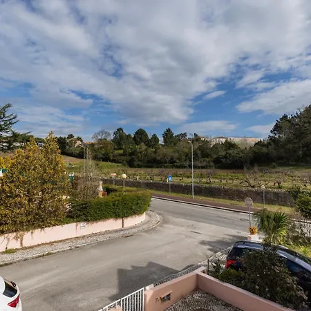Hidden Garden Near The Castle Óbidos