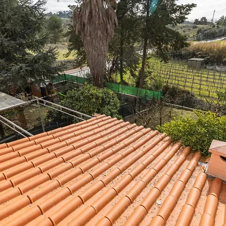 Casa vacanze Hidden Garden Near The Castle