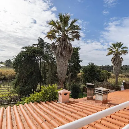 Casa vacanze Hidden Garden Near The Castle *