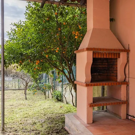 Hidden Garden Near The Castle *