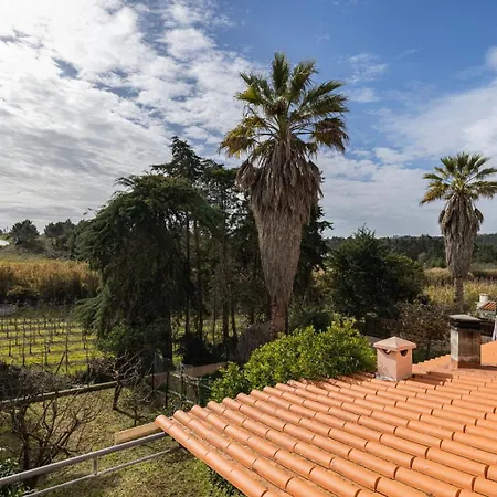 Hidden Garden Near The Castle Óbidos