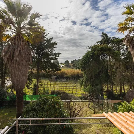 Casa vacanze Hidden Garden Near The Castle